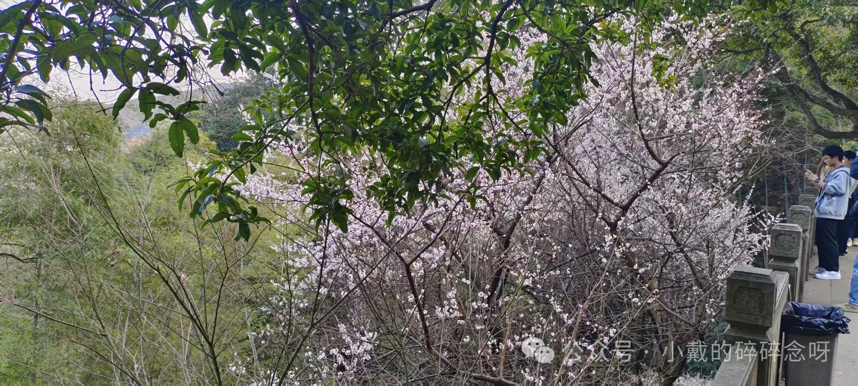 旅札｜杭州